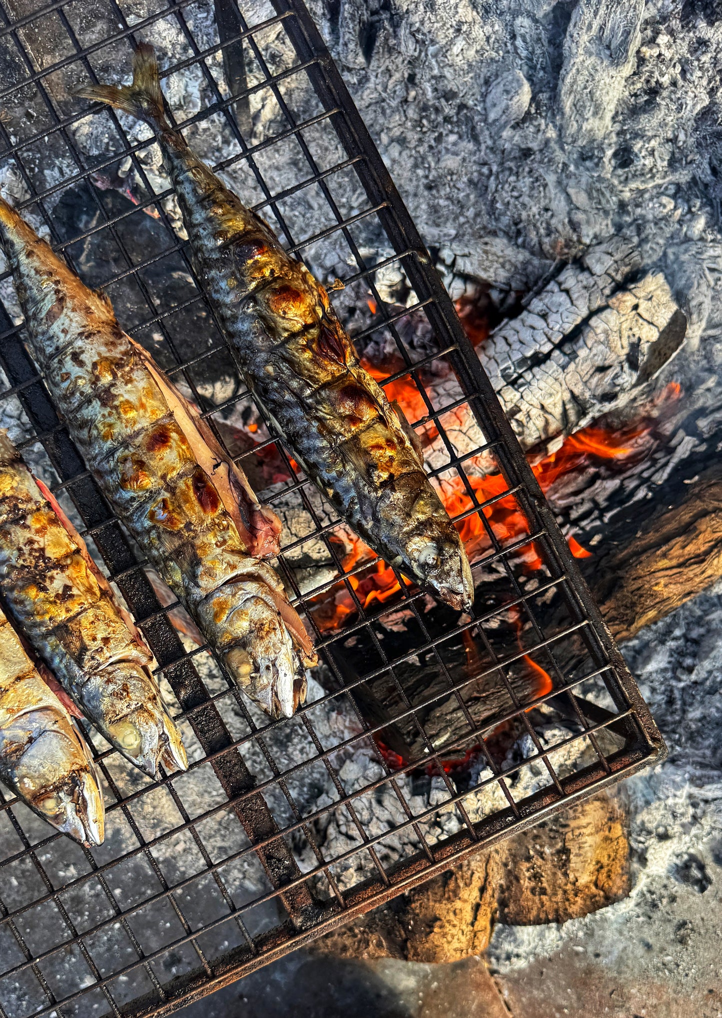 The Art of Asado 25 July 2026 1000am - 1700pm